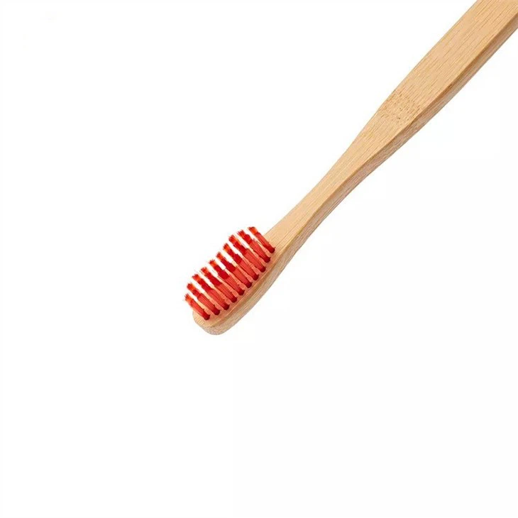 eco tooth brush natural biodegradable with case